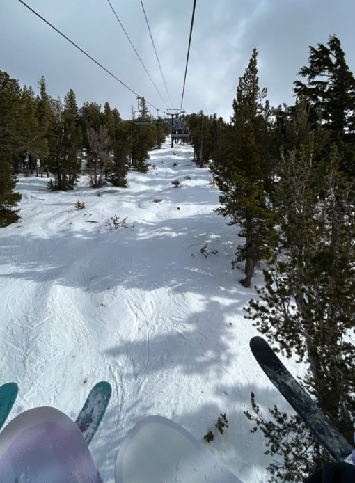 Chairlift view up the mountain